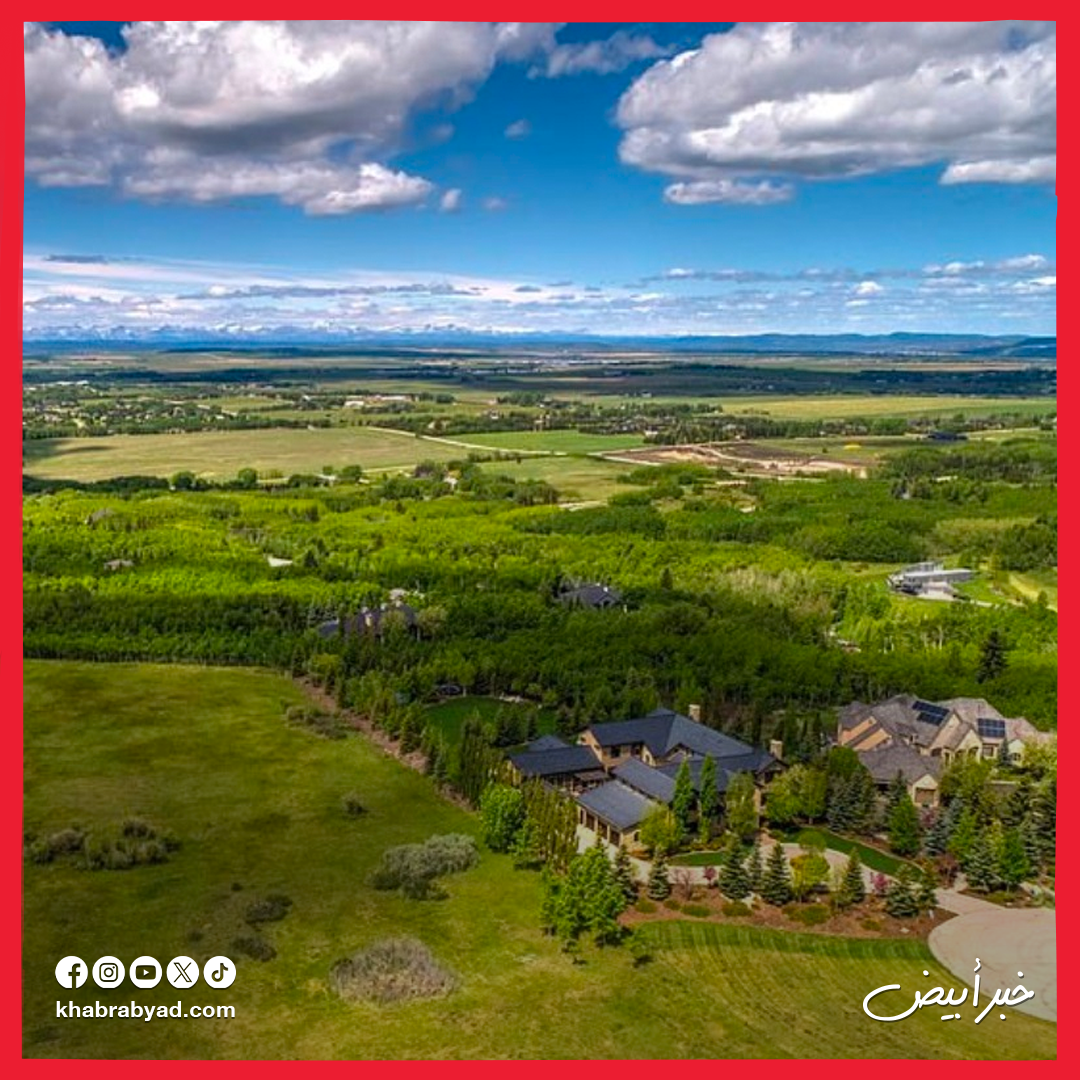 قصر ليوناردو دي كابريو