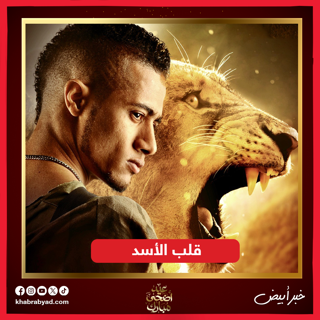 ٦